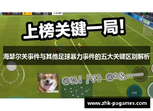 海瑟尔关事件与其他足球暴力事件的五大关键区别解析