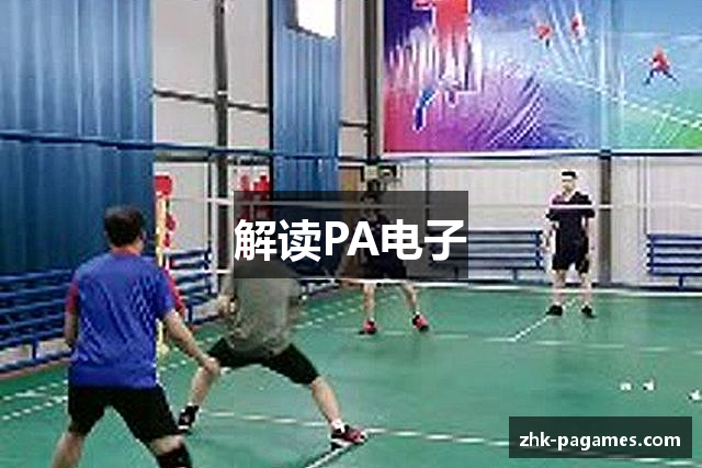 解读PA电子